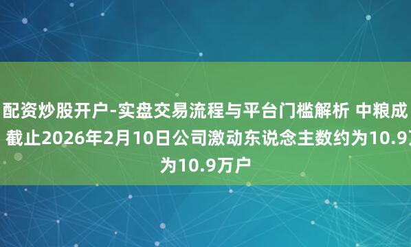 配资炒股开户-实盘交易流程与平台门槛解析 中粮成本：截止2026年2月10日公司激动东说念主数约为10.9万户