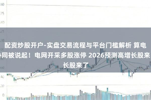 配资炒股开户-实盘交易流程与平台门槛解析 算电协同被说起！电网开采多股涨停 2026预测高增长股来了
